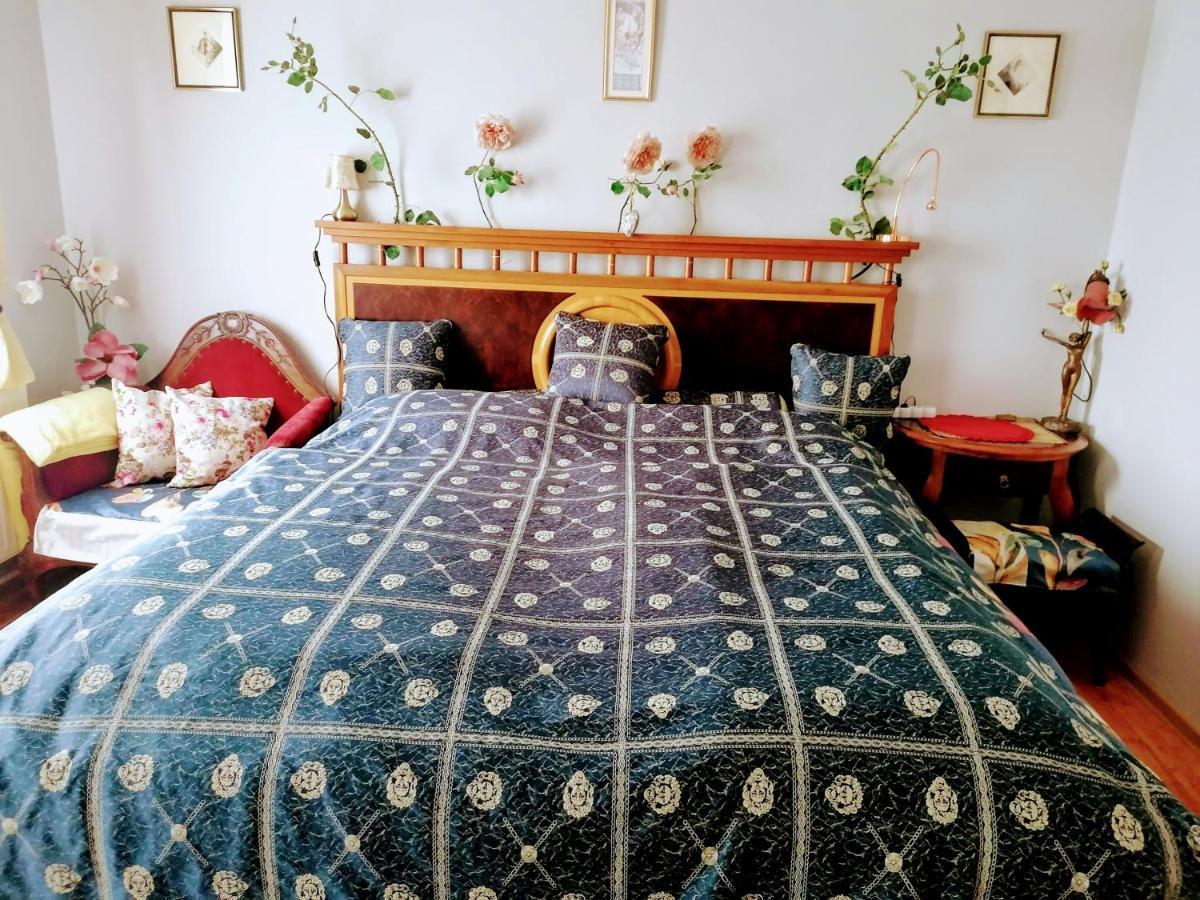 Villa Victoria Mosonmagyaróvár Zewnętrze zdjęcie